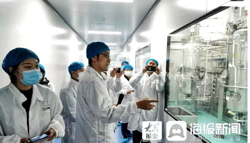 石藥集團煙臺生物醫藥高科技產業園 打造全國最大生物醫藥產業化基地，融合通信技術開發新動能